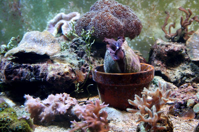 Killikus&reg; Fotographie